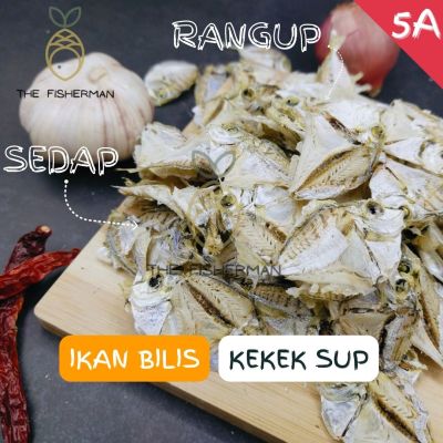 [ซุป] Kekekekekekek Anchok แอช็อกไทเปขนาดใหญ่ &amp; เล็ก | /NOPB (1Kg/500G/300G)-ชาวประมง