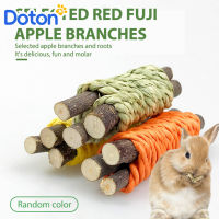 Doton Pets ติ๊กต๊อกของเล่น3ชิ้น,ที่กัดเล่นสำหรับสัตว์เลี้ยงของเล่นฝึกเคี้ยวทนทานต่อการกัดสำหรับหมูจริงชินชิลล่าแฮมสเตอร์กระต่าย