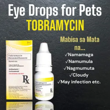 Neomycin dexamethasone eye 2024 drops for dogs