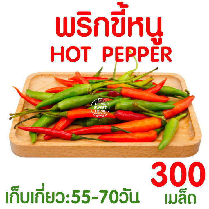 ค่าส่งถูก-พริก-เมล็ดพริก-พริกขี้หนู-300-เมล็ด-เมล็ดพันธุ์-ผักสวนครัว-พริกขี้หนู-พริกขี้หนูสวน-พริกชี้ฟ้า-ปลูกง่าย-งอกดี-โตไว