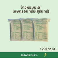 ข้าวหอมมะลิ เกรดส่งออก ไร้สารเคมี 100% organic rice ข้าวขัดขาว (นาปี ปลูกปีละ 1 ครั้ง)