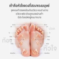 Foot Massager เครื่องนวดเท้า นวดฝ่าเท้า นวดเท้า เครื่องนวดฝ่าเท้าและเครื่องนวดขาคุณภาพสูง