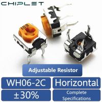 10pcs WH06-2C Adjustable Resistance Potentiometer Horizontal 100Ω 200Ω 500Ω 1KΩ 2KΩ 5KΩ 10KΩ 20KΩ 50KΩ 100KΩ 200KΩ 500KΩ 1MΩ Ohm