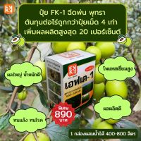 ปุ๋ย FK-1 ฉีดพ่น พุทรา ผลใหญ่ เพิ่มน้ำหนัก ผลผลิตดี ต้นทุนต่อไร่ถูกกว่าปุ๋ยเม็ด 4 เท่า เพิ่มผลผลิตสูงสุด 20 เปอร์เซ็นต์