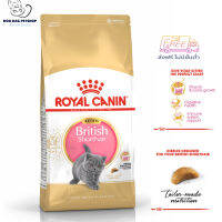 ?  { ส่งฟรี } Royal Canin British Shorthair Kitten Food สำหรับลูกแมว พันธุ์บริติช ชอร์ตแฮร์ อายุ 4-12 เดือน 2 kg. ? { สินค้าจัดส่งรวดเร็ว } ? มีเก็บเงินปลายทาง