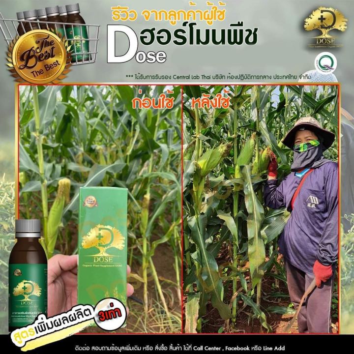 dose-โดส-ฮอร์โมนพืช-3-ขวด-อาหารเสริมพืช-เร่งผลผลิต-เร่งใบ-เร่งต้น-เร่งดอก-เร่งนํ้ายาง-เร่งโต-โตไว-ใบเขียว-เพิ่มผลผลิต