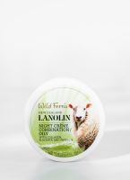 Lanolin Night Creme - Combination to Oily - w/ Collagen, Placenta &amp; Propolis ลาโนลินไนท์ครีม สูตรผสม พลาเซนต้า คอลลาเจน และโพรโพลิส เหมาะกับผิวผสมถึงผิวมัน