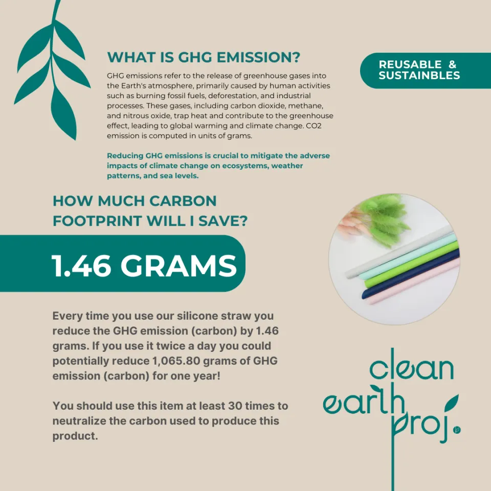 Reusable Straw from The Clean Earth Project