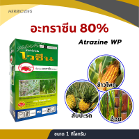 ไวซีน อะทราซีน 80% สูตรพิเศษ กำจัดได้ทั้งใบแคบและใบกว้าง พ่นใน ข้าวโพด อ้อย สับปะรด คุมนาน เห็นผลไว