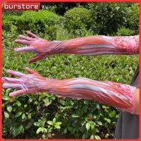 Burstore】ถุงมือประสิทธิภาพปาร์ตี้เต้นรำวันฮาโลวีน,ถุงมือพิมพ์ดิจิตอลอุปกรณ์ประกอบการแสดงถุงมือกล้ามเนื้อแขนยาว55ซม. ถุงมือกล้ามเนื้อ0823