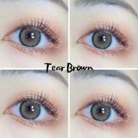 คอนแทคเลนส์?Tear Some? Brown (Luxzylens) ขนาดมินิ?