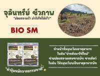 หัวเชื้อจุลินทรีย์ Bio-SM