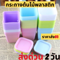 กระถางต้นไม้พลาสติก ขนาด 2.6x2.6 นิ้ว พร้อมถามรอง กระถางขนาดเล็ก กระถางจัดส่วน กระถางปลูกต้นไม้ สินค้าส่งจากไทย