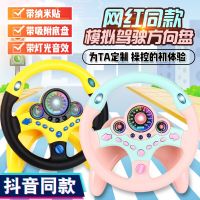 【HOT】 Manufacture co-pilot steering wheel toy children early education story simulation driving