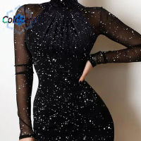 Coldzera Women S Slim Mini Dress High Neck Glitter Design Elegant Mesh Contrast Sleeve Elegant For Evening Cocktail High Neck Glitter Design Mesh Contrast Sleeve Body-Con Pencil Dress Women S Slim Mini Dress