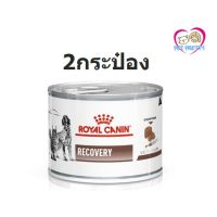 ห้ามพลาด สินค้า ส่งฟรี {2กระป๋อง}ล็อตใหม่ Royal canin Recovery อาหารเปียกสำหรับสุนัขป่วย แมวป่วย ใช้ทานหลังผ่าตัด 195g