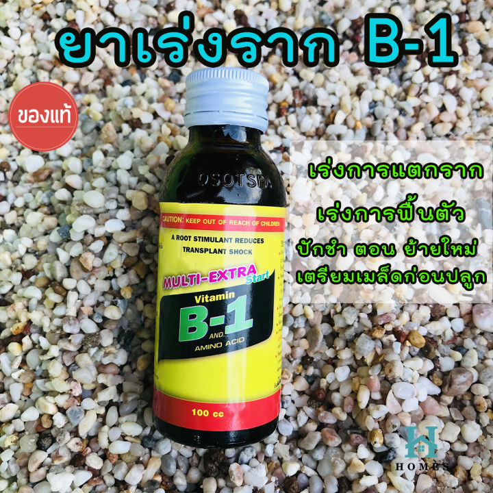 ยาเร่งรากb-1-multi-extra-start-น้ำยาเร่งราก-บีวัน-100cc-homes