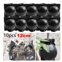 12cm 10Pcs Plant Rooting Device-Assisted Cutting Rooting 0High Pressure Propagation Ball High Pressure Box Grafting YB8TH