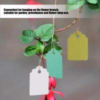 【Clearance】【COD】【สินค้าขายดี】Plant Marker 300Pcs Reusable กันน้ำ PVC ป้ายพลาสติกบอกชื่อต้นไม้พืชสวนแขวนแท็กดอกไม้ MARKER 3.6x2.5 ซม.