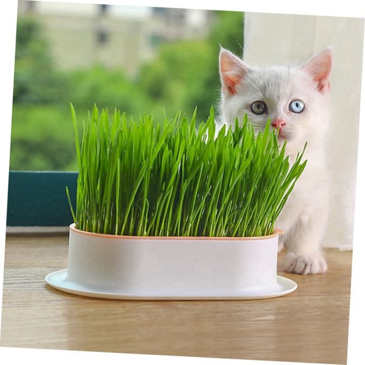 3pcs-home-planting-box-kit-sprouts-soil-free-pets-convenient-nursery-grower-soil-propagation