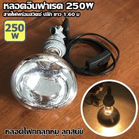 [ของขวัญ Sale!!] หลอดไฟให้ความร้อน 250W พร้อมชุดสายไฟสวิตช์E27 หลอดไฟกกลูกไก่ หลอดฮีตเตอร์อินฟาเรด ขั้วE27 หลอดไฟกกลูกหมู (แก้วใส) [โปรโมชั่นพิเศษ!! รีบซื้อก่อนของหมด!!]