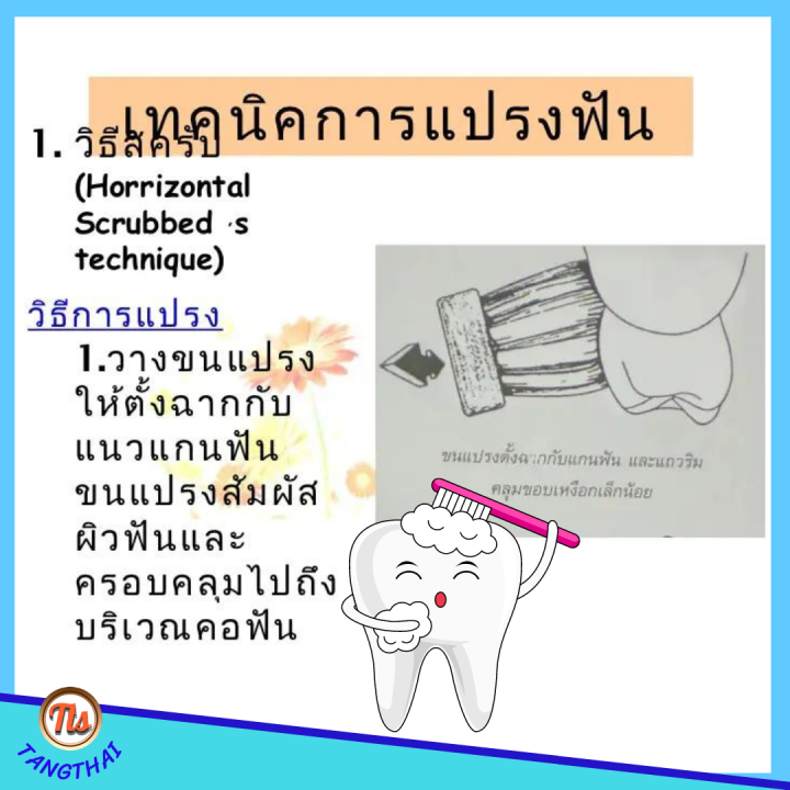 ส่งฟรี-แปรงสีฟัน-ยาสีฟัน-กิฟฟารีน-แปรงสีฟัน-ดับเบิล-แอคทีฟ-ขนแปรงนุ่มมากเป็นพิเศษ2-เท่า-ทำความสะอาดผิวฟัน-และ-นวดเหงือก-giffarine