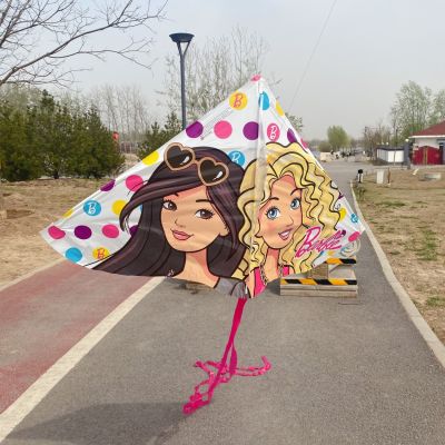 American professional childrens kite portable easy to fly zero base belt line wheel outdoor toy cartoon character Aisha princess