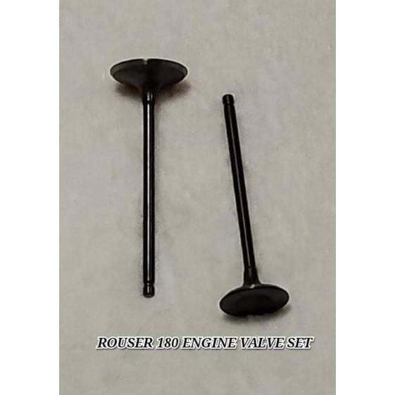 Rouser 180 Engine Valve Set Intake And Exhaust Lazada Ph