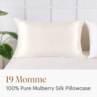 YUNFREESILK 19MM Silk Pillowcase for Hair and Skin with Hidden Zipper Both Sides Premium Grade 6A Silk Pillow cases