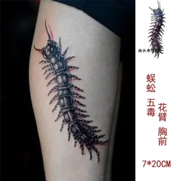 Lịch sử giá Hình xăm dán kín lưng cá chép màu xanh 34x48cm- tặng bắp tay  tattoo 12x19cm cập nhật 3/2024 - Mua Thông Minh