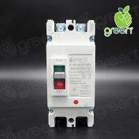 APPLEGREEN MCCB DC Circuit Breaker 2P DC 660V 40A เบรคเกอร์ไฟฟ้าใช้กับไฟกระแสตรง สำหรับงานโซลาร์เซลล์ แบตเตอรี่ ขนาด 40A