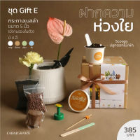 ?BigSale! ชุดปลูกดอกไม้ เซตของขวัญ Gift E ฝากความห่วงใย สั่งก่อนได้ก่อน