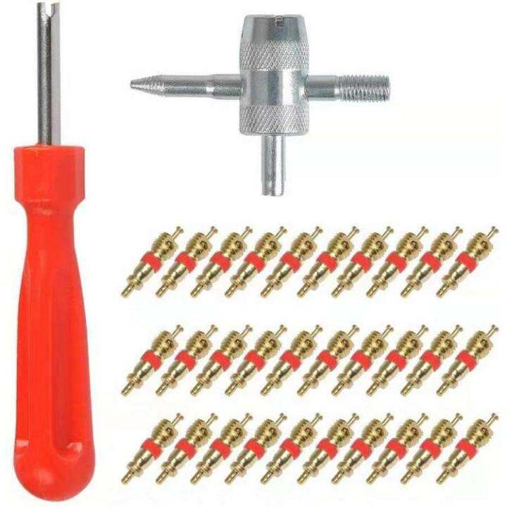 Valve Stem Removal Tool 30Pcs Valve Stem Cores Brass Tire Repair Tools Versatile Complete Kit