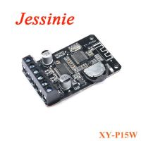 2pcs 10W/15W/20W/30W/40W Stereo Power Amplifier Board 12V/24V High Power Digital Amplifier Module XY P15W XY P40W