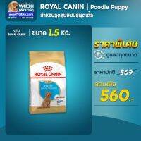 นาทีทอง ส่งฟรี ROYAL CANIN Poodle Puppy สำหรับลูกสุนัขพันธุ์พูเดิ้ลช่วงหย่านม2-12เดือน ขนาด 1.5 กิโลกรัม