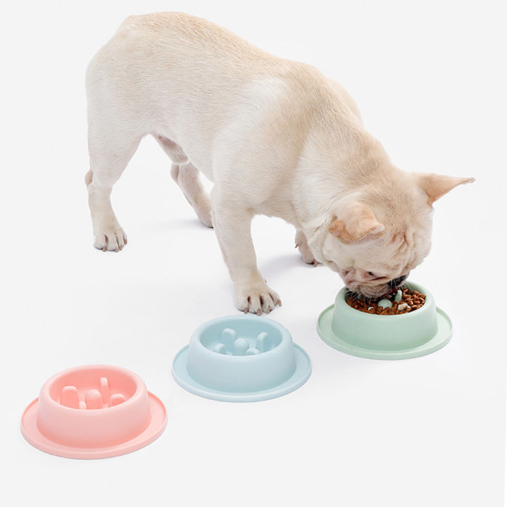 slow-eating-dog-bowl-dog-feeding-accessories-anti-choking-dog-bowl-slow-feed-dog-bowl-small-dog-feeder