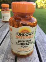 สารสกัดเอ็กไคนาเซีย Whole Herb Echinacea 400mg 100 Capsules (Sundown Naturals®)