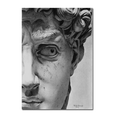 David Plaster Sculpture Art Canvas Painting on The Wall Print Poster Classic Character Sculpture Wall Picture Room Home Decor