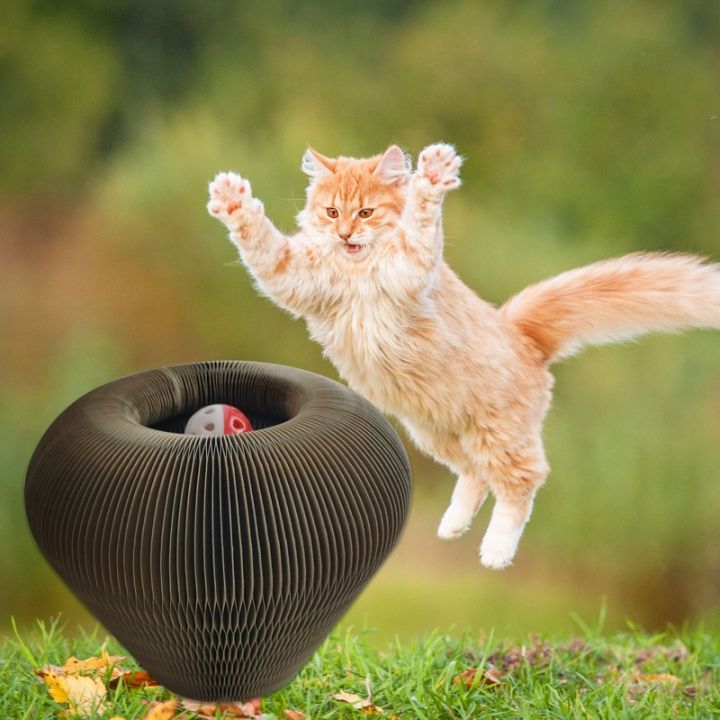 ร้านค้าผลิตภัณฑ์สัตว์เลี้ยงโลก-ชามที่ลับเล็บแมวกระดาษแข็งพร้อมเฟอร์นิเจอร์ลูกบอลสำหรับอุปกรณ์ไว้ให้แมวข่วน