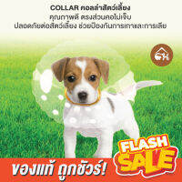 ?ถูกสุด! พร้อมส่ง?COLLAR  คอลล่าสัตว์เลี้ยง คอลล่าแบบใส คุณภาพดี ตรงส่วนคอไม่เจ็บ ปลอดภัยต่อสัตว์เลี้ยง ช่วยป้องกันการเกาและการเลีย