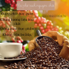 Cà phê nguyên chất pha phin robusta 100% từ vườn đắk lắk 500gr - ảnh sản phẩm 8