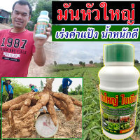 ?สูตรเข้มข้น? ปุ๋ยมันสำปะลัง 500 ซีซี ฮอร์โมนระเบิดหัว เร่งแป้ง มันสำปะหลัง ปุ๋ยเร่งรวงข้าว ระเบิดหัวมัน ปุ๋ยทางใบเร่งหัวมันสำปะหลัง ปุ๋ยระเบิดหัวมัน ปุ๋ยมันสําปะหลัง ใส่ปุ๋ยมันสําปะหลัง ปุ๋ยรองพื้นปลูกมันสําปะหลัง ปุ๋ยใส่มันสําปะหลัง ปลอดสารพิษ100 %