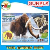 ⭐TGS⭐Exploring Lab Nature Mammoth (Plastic model)