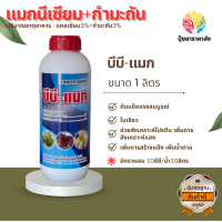 บีบี-แมก 1ลิตร แคลเซียม3%+กำมะถัน3% ต้นแข็งแรงสมบูรณ์ ใบเขียว ช่วยสังเคราะห์โปรตีน เพิ่มการสังเคราะห์แสง เพิ่มการสร้างแป้ง เพิ่มน้ำตาล