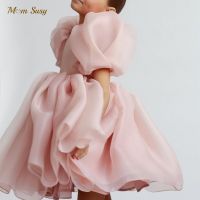 Fashion Girl Princess Vintage Dress Tulle Child Vestido Puff Sleeve Pink Wedding Party Birthday Tutu Dress Child Clothes 1-10Y Dresses