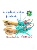 กบกระโดดสามเหลี่ยม รุ่นหลังแอ่น กบกระโดดสับถี่ๆ กบกระโดดเพชรบุรี เหยื่อปลอม