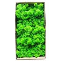 1500g Simulation Plants Eternal Life Moss /Garden Home Decor Wall DIY Flower Material Mini Garden Micro Landscape Fake Moss Gift Artificial Flowers  P