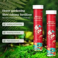 Household Gardening Potted Succulent Organic Fertilizer Nutrient Supplier Slow Release Fertilizer For Foliage Plants Fruit Grow