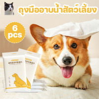 【Huahua】COD 6pcs ถุงมือสัตว์เลี้ยงแบบใช้แล้วทิ้ง ถุงมือทำความสะอาดสัตว์เลี้ยง ถุงมือแมว ถุงมืออาบน้ำแมว ระงับกลิ่นกาย