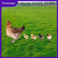 Toolsnest รูปปั้นไก่ตกแต่งสวนสำหรับสวนหลังบ้านทางเดินกลางแจ้ง